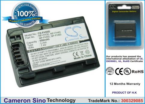 Batterie camescope appareil photo sony dcr dvd304 