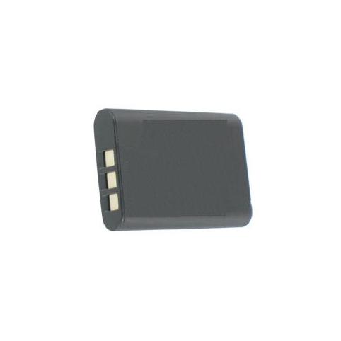 Batteria videocamera ricoh ricoh r50