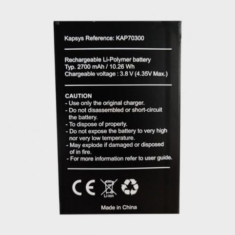 Batteria  kapsys minivision 2